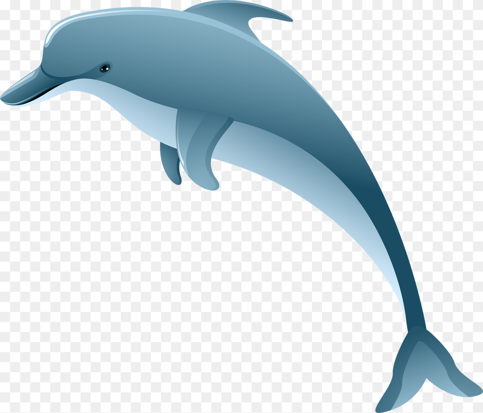 Dolphin Clip Art, Animal, Mammal, Sea Life, Fish Png