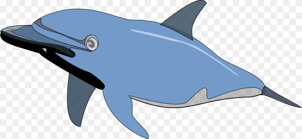 Dolphin Clip Art, Animal, Mammal, Sea Life, Fish Png Image