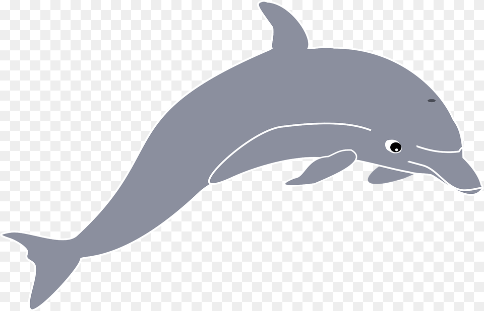 Dolphin Clipart, Animal, Mammal, Sea Life, Fish Free Png