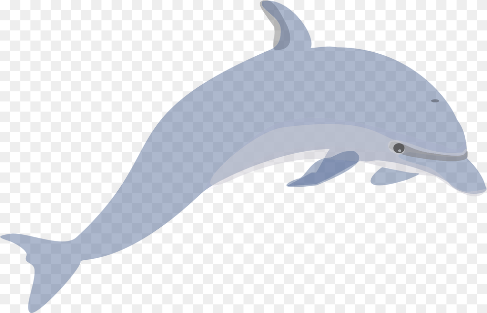 Dolphin Clipart, Animal, Mammal, Sea Life, Fish Png Image