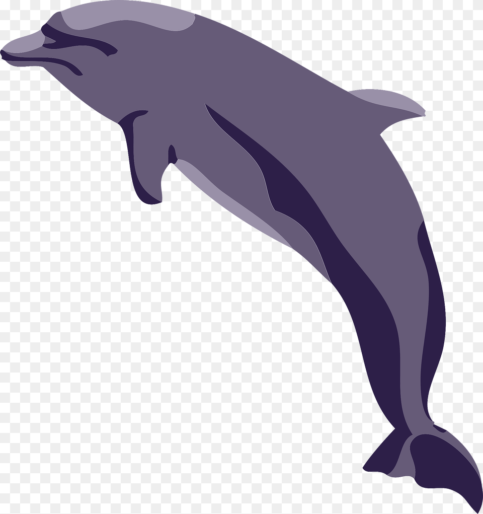 Dolphin Clipart, Animal, Mammal, Sea Life, Fish Free Png Download