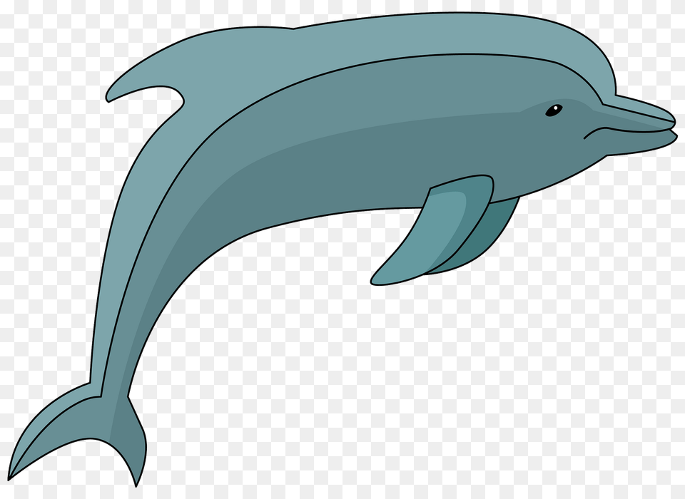 Dolphin Clipart, Animal, Mammal, Sea Life, Fish Free Png