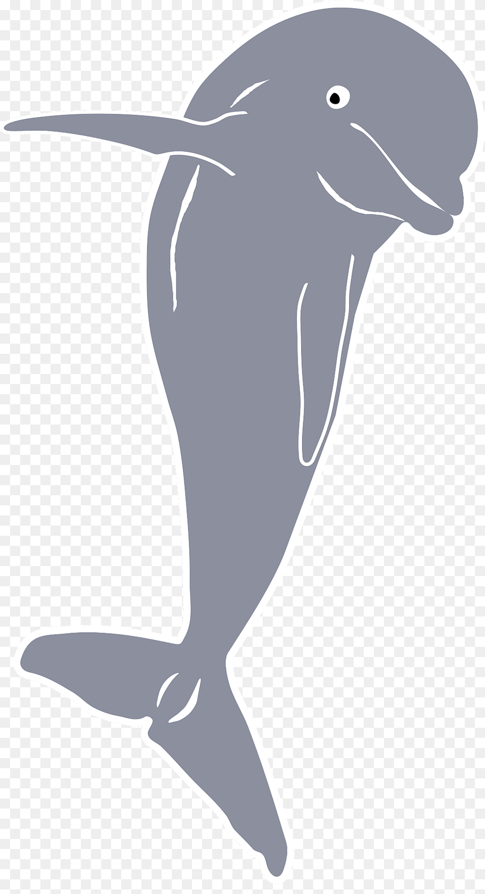 Dolphin Clipart, Animal, Sea Life, Mammal, Beluga Whale Png Image