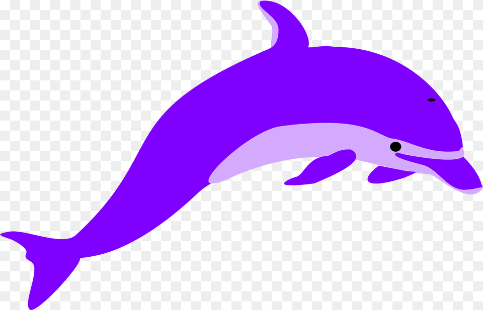 Dolphin Clipart, Animal, Mammal, Sea Life, Fish Free Png