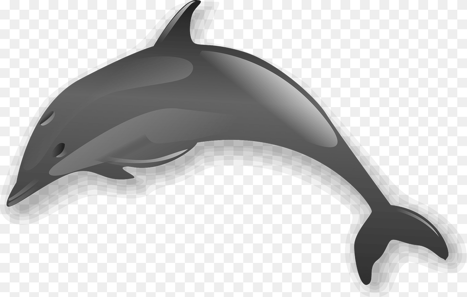 Dolphin Clipart, Animal, Mammal, Sea Life, Bow Png Image