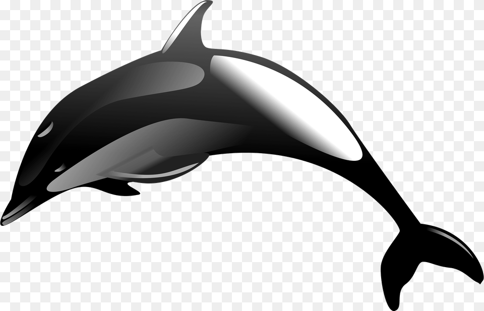 Dolphin Clipart, Animal, Mammal, Sea Life, Fish Free Png Download