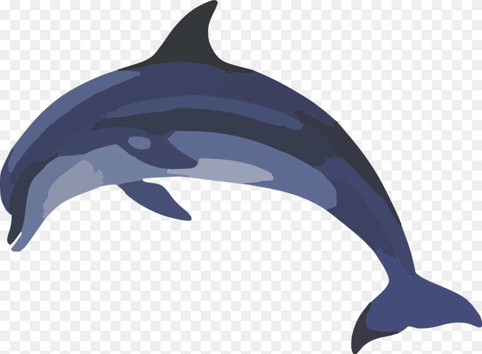 Dolphin Clipart, Animal, Mammal, Sea Life, Fish Free Transparent Png