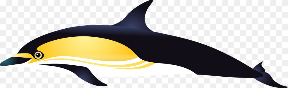 Dolphin Clipart, Animal, Fish, Sea Life, Shark Png Image