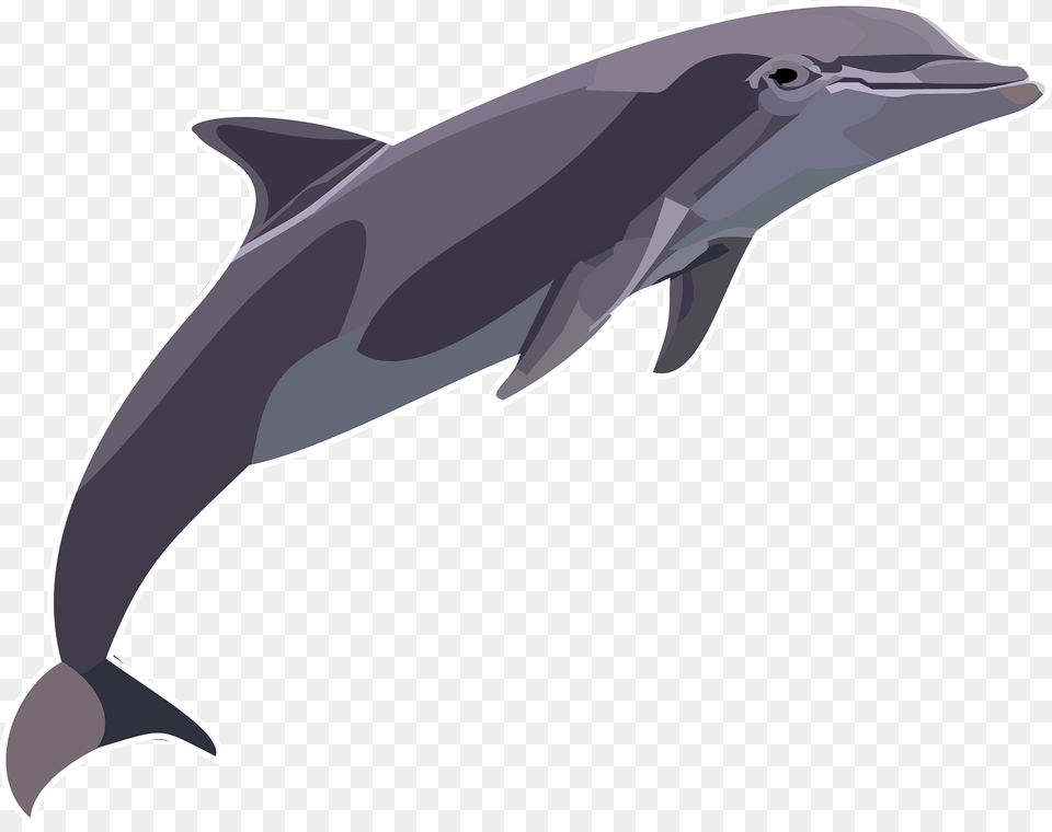 Dolphin Clipart, Animal, Mammal, Sea Life, Fish Free Png Download