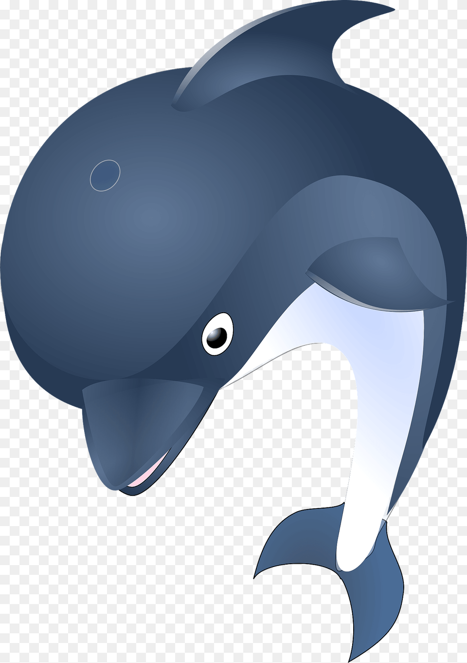 Dolphin Clipart, Animal, Sea Life, Mammal, Whale Png Image