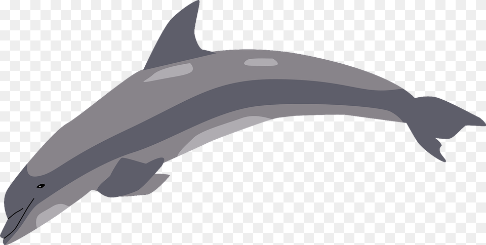 Dolphin Clipart, Animal, Mammal, Sea Life, Fish Free Png Download