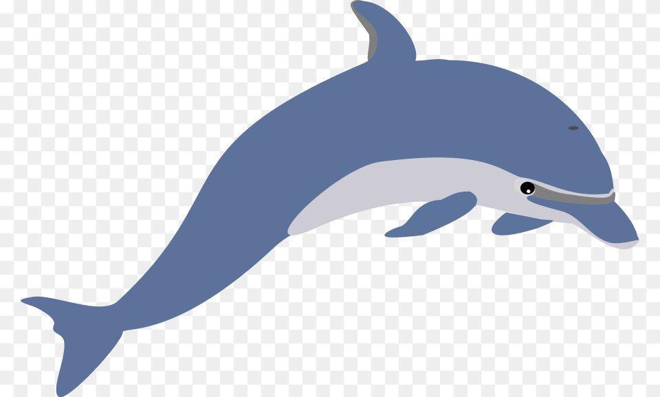 Dolphin Clipart Animal, Mammal, Sea Life, Fish, Shark Free Png