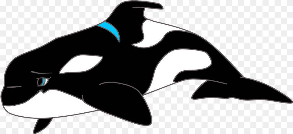 Dolphin Clipart Black And White, Animal, Sea Life, Mammal, Orca Png Image