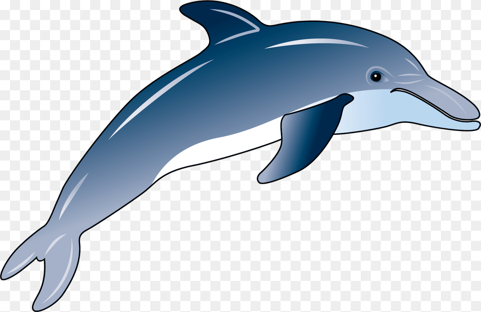 Dolphin Clipart Bottlenose Dolphin Clipart, Animal, Mammal, Sea Life, Fish Free Png