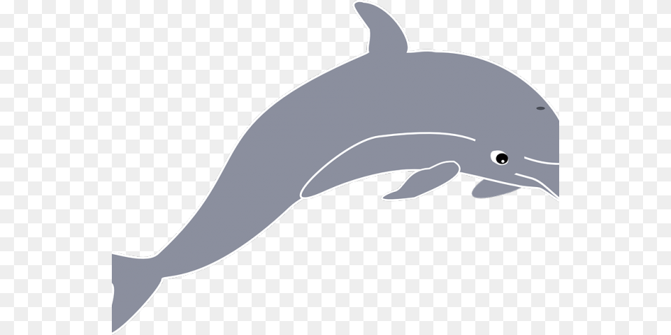 Dolphin Clipart Kids, Animal, Mammal, Sea Life, Fish Png Image