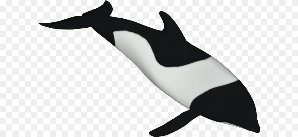 Dolphin Commerson Dolphin, Animal, Mammal, Sea Life, Whale Png