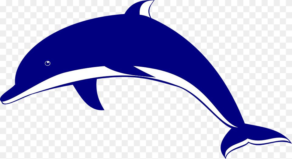 Dolphin Dolphin Clipart, Animal, Mammal, Sea Life, Fish Png Image