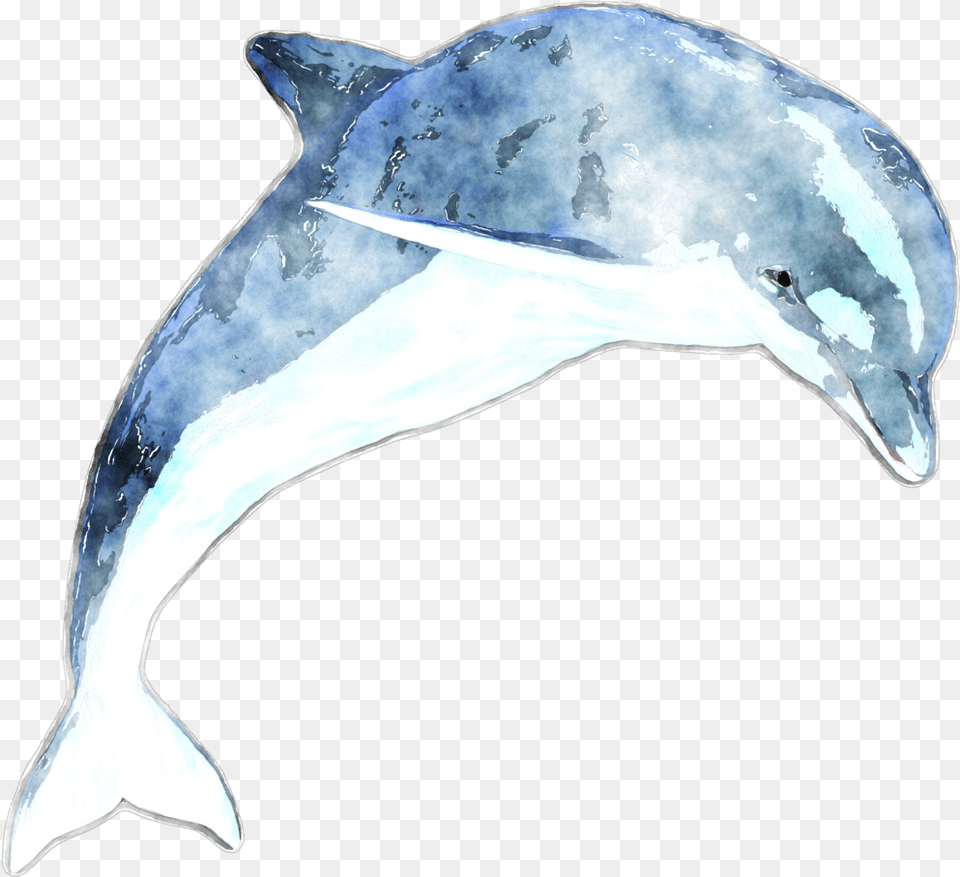 Dolphin Dolphin Watercolor, Animal, Mammal, Sea Life Free Transparent Png