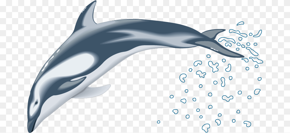 Dolphin Drawing Clip Art Dolphin Vector, Animal, Mammal, Sea Life Png