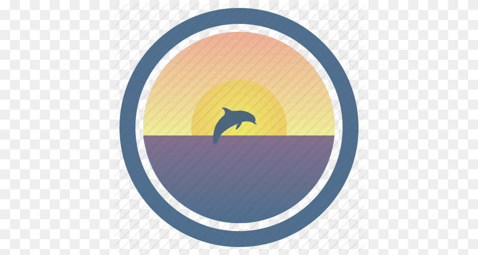 Dolphin Dream Sea Sunny Sunset Sunset And Peep Of Morning Icon, Animal, Mammal, Sea Life Png