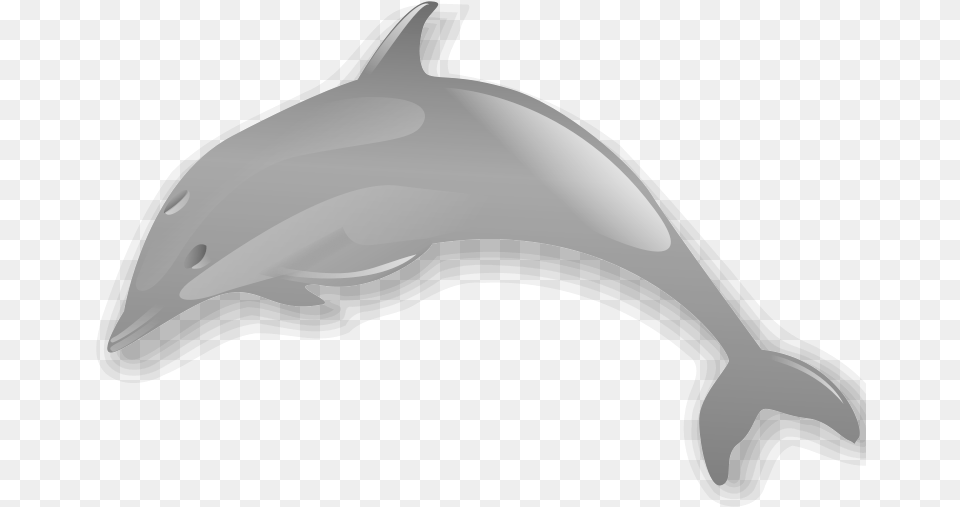 Dolphin Enrique Meza C 02 Clip Art Download Dolphin, Animal, Mammal, Sea Life, Fish Png