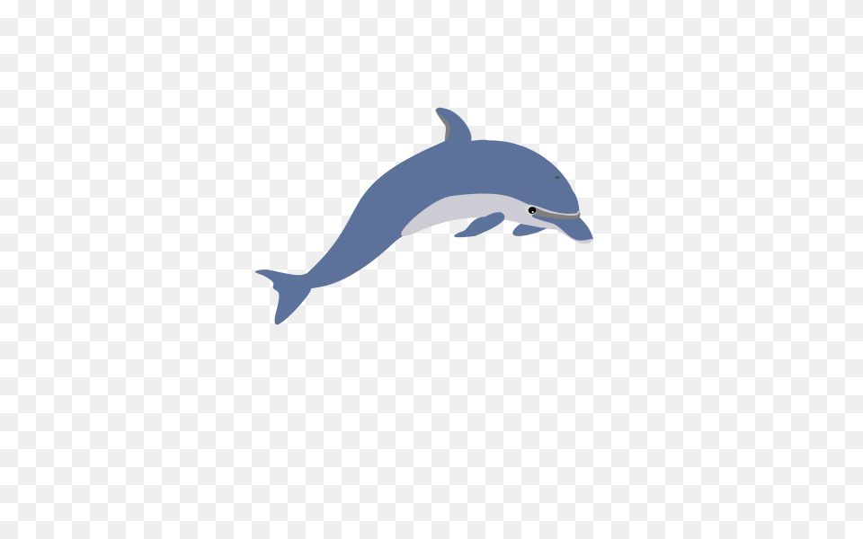 Dolphin Enrique Meza C Clip Arts For Web, Animal, Mammal, Sea Life, Fish Free Transparent Png