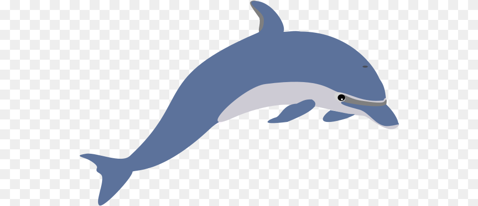 Dolphin Enrique Meza C Dolphin Clipart, Animal, Mammal, Sea Life, Fish Free Transparent Png