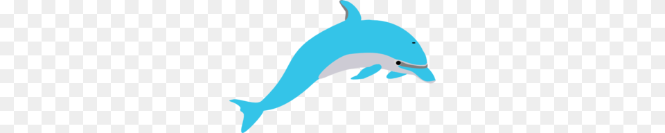 Dolphin Fish Clipart, Animal, Mammal, Sea Life, Shark Free Transparent Png