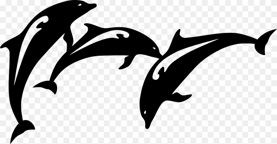 Dolphin Fish Jumping Animal Mammal Silhouette Dolphin Images Black And White, Sea Life, Shark Png