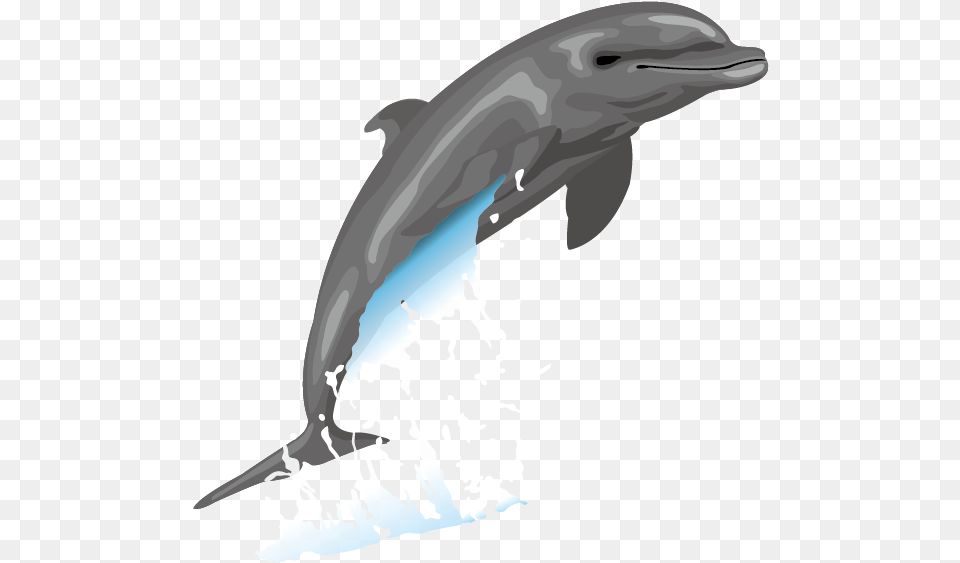 Dolphin Content Drawing Clip Art Clip Art, Animal, Mammal, Sea Life, Bear Free Png
