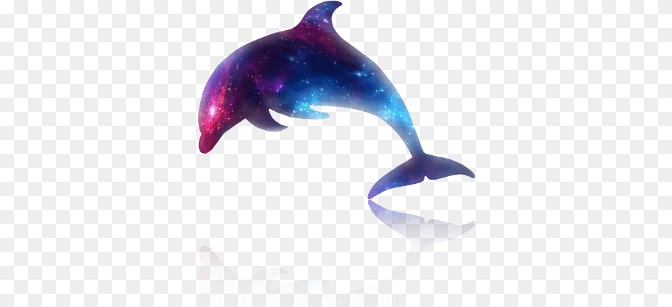 Dolphin Galaxy, Animal, Mammal, Sea Life, Fish Png