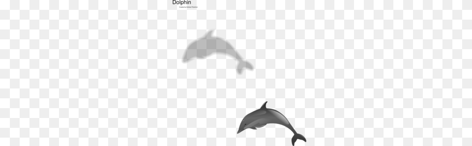 Dolphin Grey Clip Art, Animal, Mammal, Sea Life, Silhouette Free Png