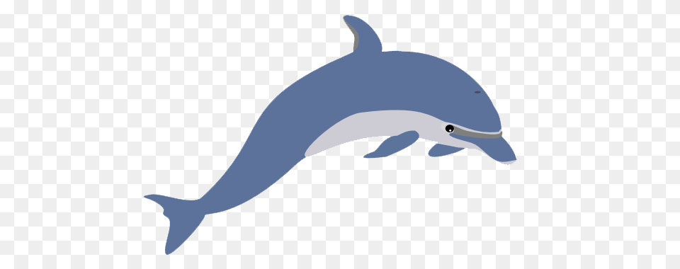 Dolphin Illustration, Animal, Mammal, Sea Life, Fish Free Transparent Png