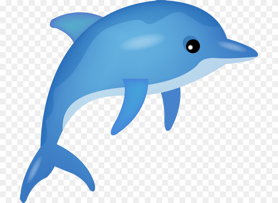 Dolphin Vector, Animal, Mammal, Sea Life, Fish Png Image