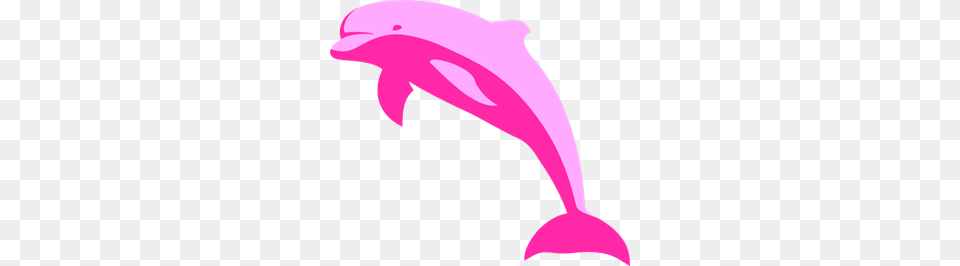 Dolphin Images Icon Cliparts, Animal, Mammal, Sea Life, Fish Free Png