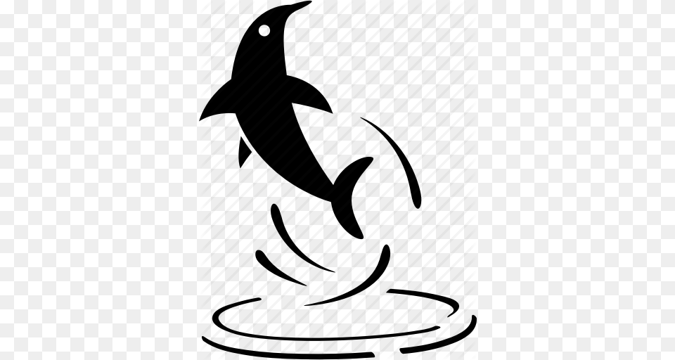Dolphin Jump Out Jump Up Jumping Performance Water Icon, Animal, Sea Life, Fish Free Png