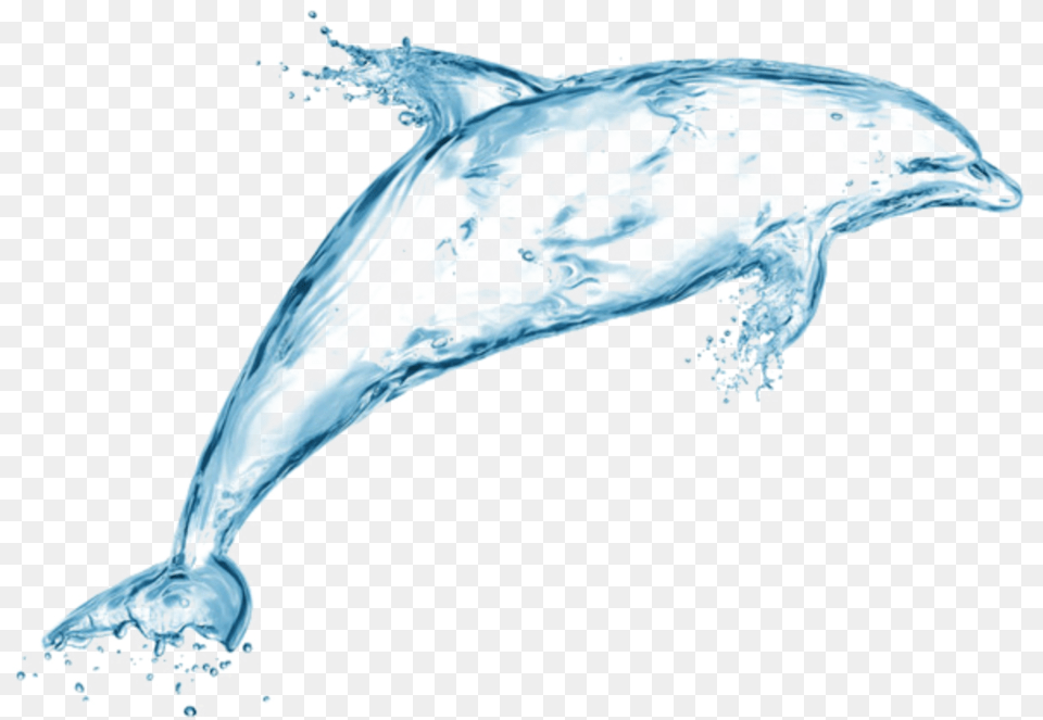 Dolphin Made Of Water, Animal, Mammal, Sea Life Png