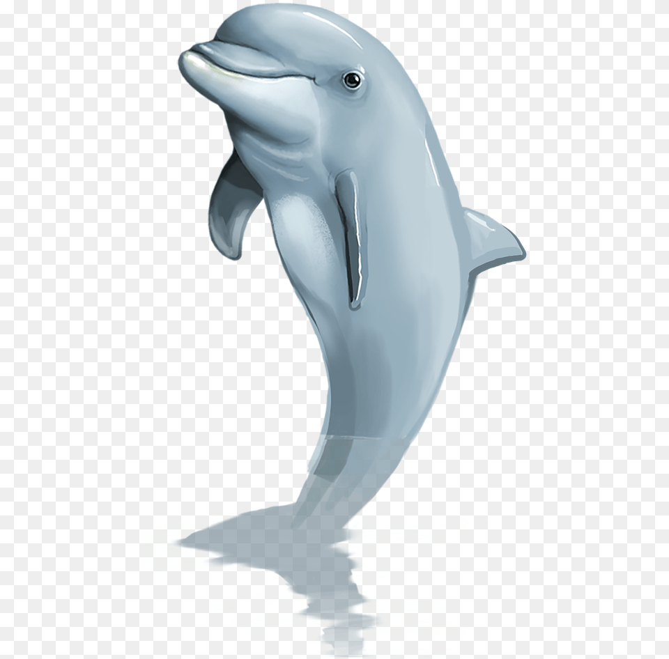 Dolphin Mammal Free Picture Transparent Dolphin Jumping, Animal, Sea Life, Bird Png Image
