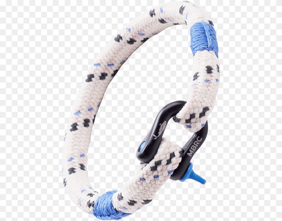 Dolphin Oceandata Imageurl Cdn Common Kingsnake, Accessories, Bracelet, Jewelry, Person Png Image