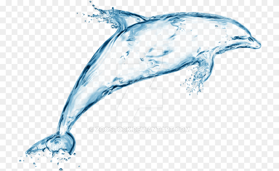 Dolphin Of Water On A Background By Zoostock Water Dolphin, Animal, Mammal, Sea Life, Fish Free Transparent Png