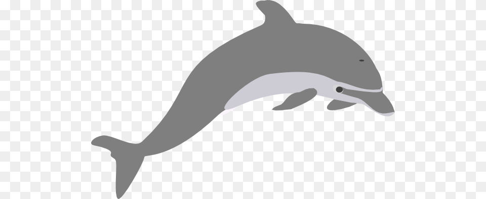 Dolphin Outline Grey Clip Arts For Web, Animal, Mammal, Sea Life, Fish Png