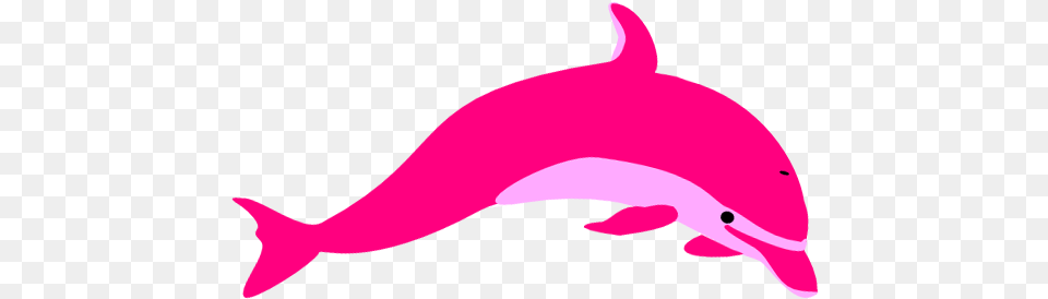 Dolphin Pink Dolphin Cartoon Dolphin, Animal, Mammal, Sea Life, Fish Png Image