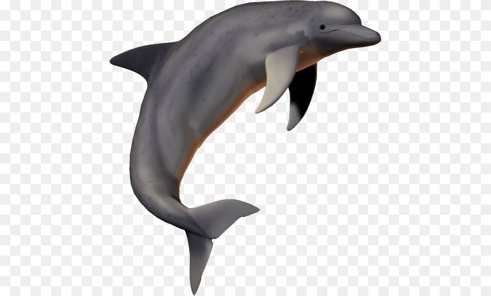 Dolphin Pngfish Pngpicsartallpng Dolphin Transparent Background, Animal, Mammal, Sea Life, Fish Free Png Download