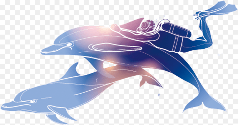 Dolphin Poster Diving, Animal, Mammal, Sea Life, Fish Png Image