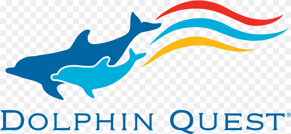 Dolphin Quest Dolphin Quest Hawaii Logo, Animal, Mammal, Sea Life, Fish Png