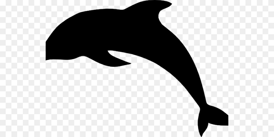 Dolphin Shadows, Animal, Mammal, Sea Life, Bow Png