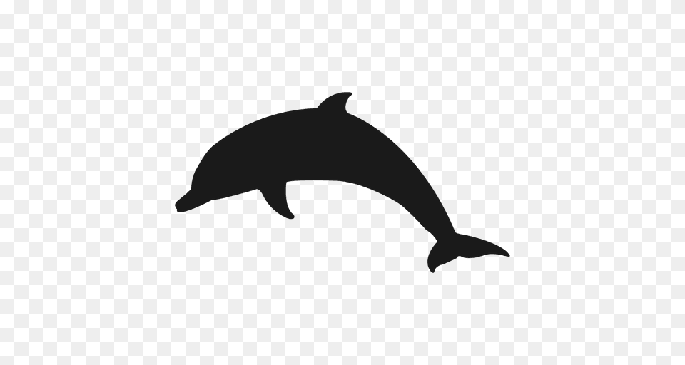 Dolphin Silhouette, Animal, Mammal, Sea Life, Fish Png Image