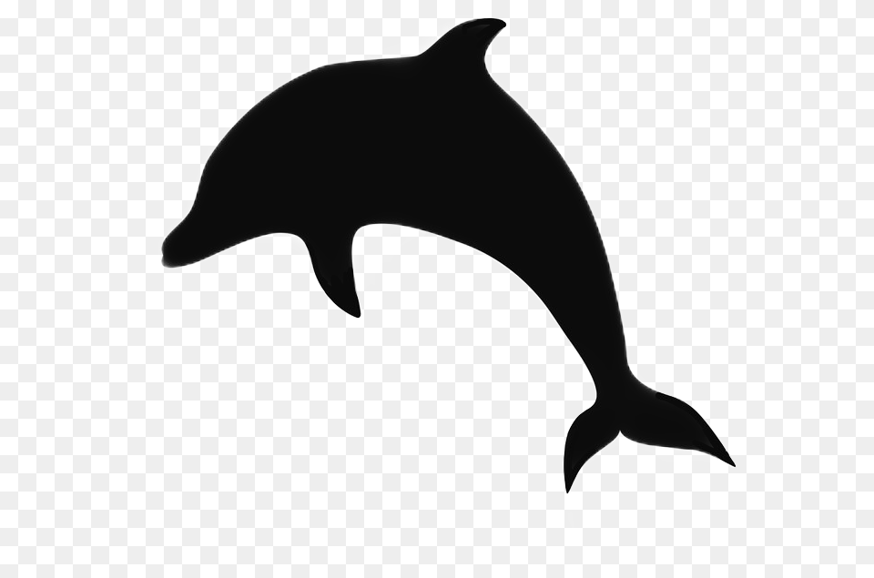 Dolphin Silhouette Animal Dolphinsticker Freetoedit Silhouette Dolfijn, Mammal, Sea Life, Canine, Dog Png Image