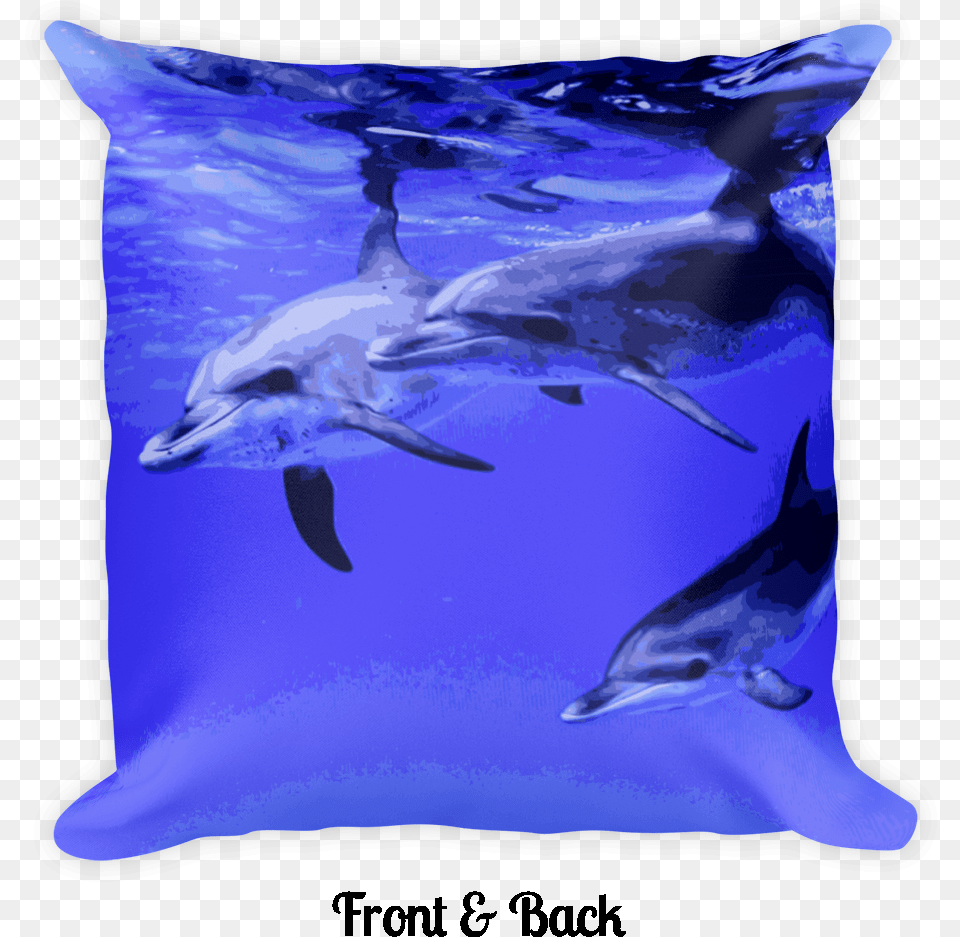 Dolphin Swim Hawaii Square Pillow Cushion, Animal, Mammal, Sea Life, Fish Free Png Download