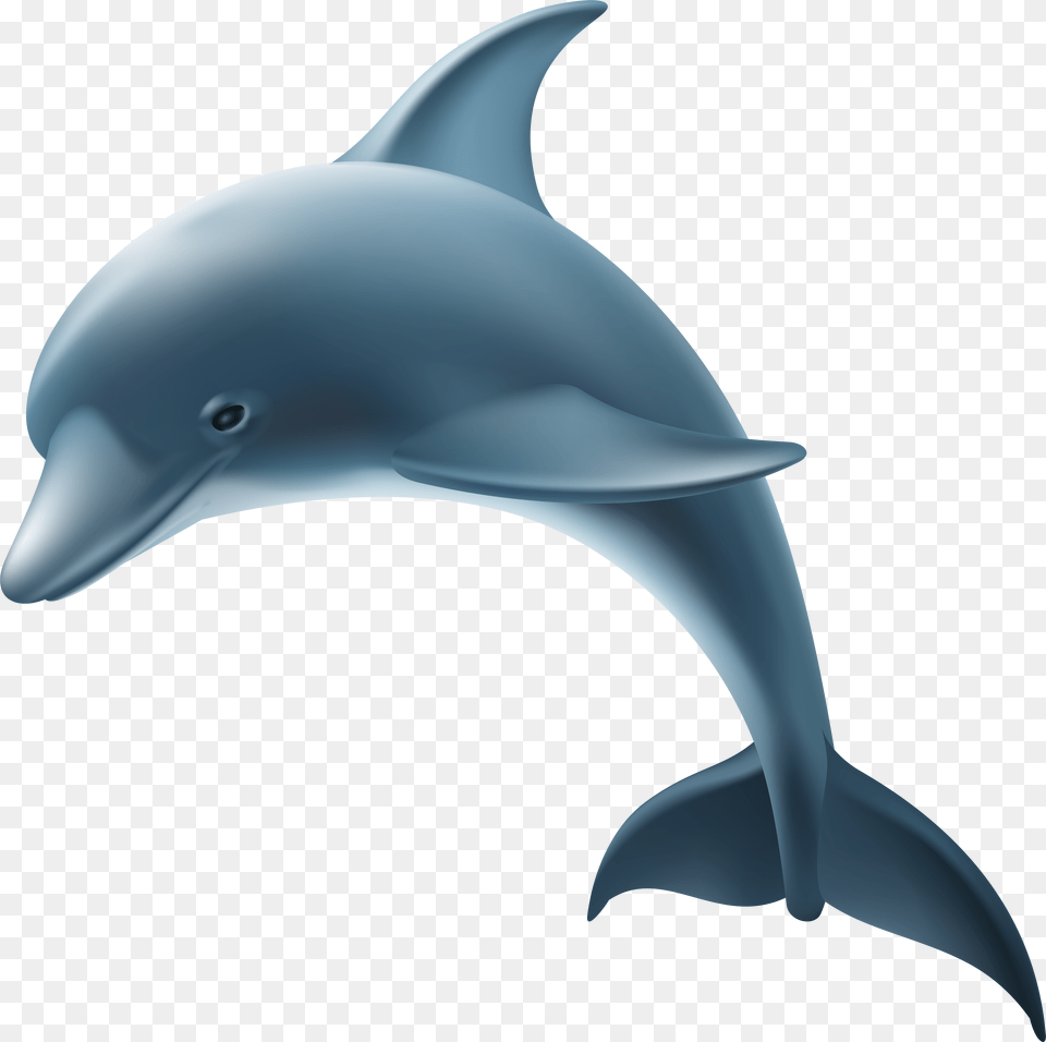 Dolphin Transparent Clipart Background, Animal, Mammal, Sea Life Free Png